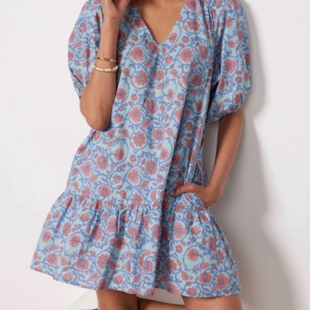 Everlane Blue and Pink Floral Mini Dress